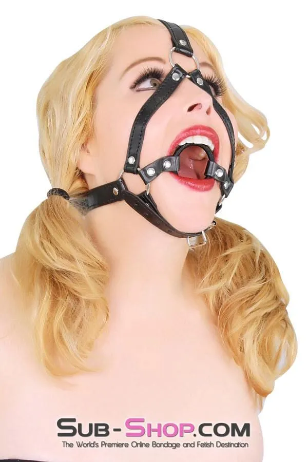 4423BD-SIS      Sissy Boi Trap Wrapped Ring Gag Sissy Humiliation Trainer Harness