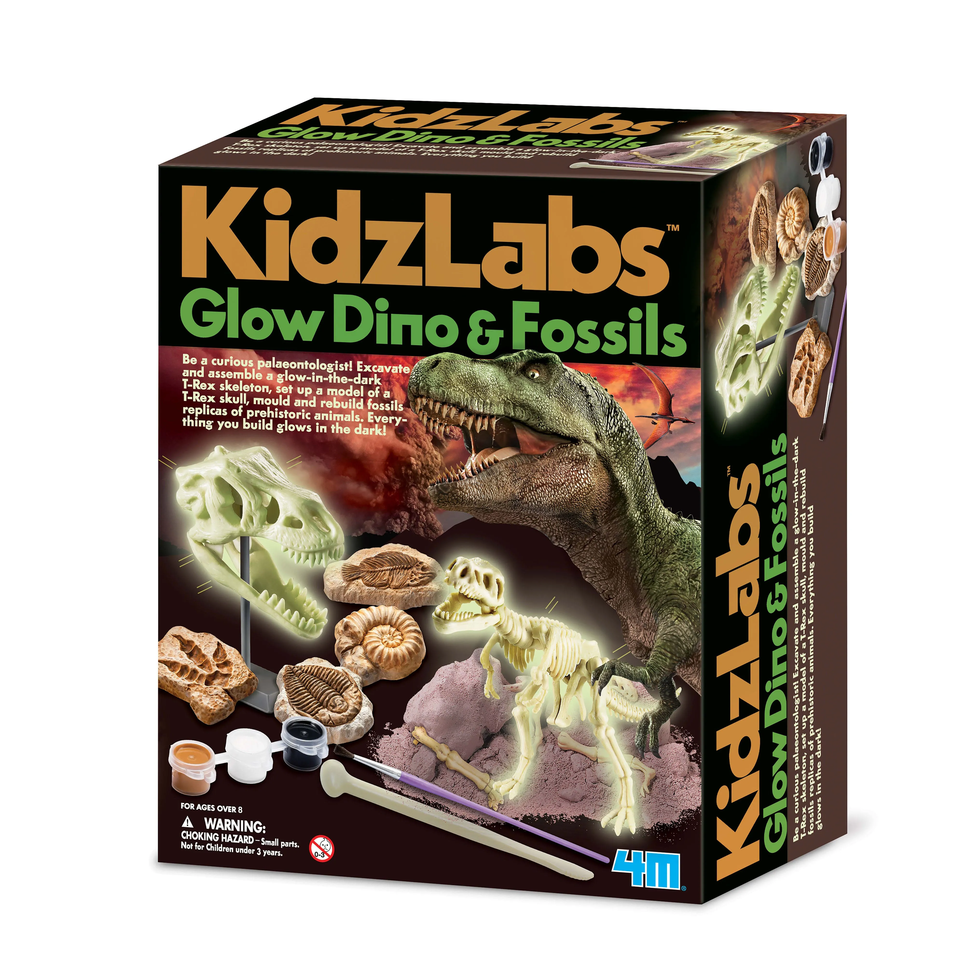 4M Kidz Labs / Glow Dino & Fossils