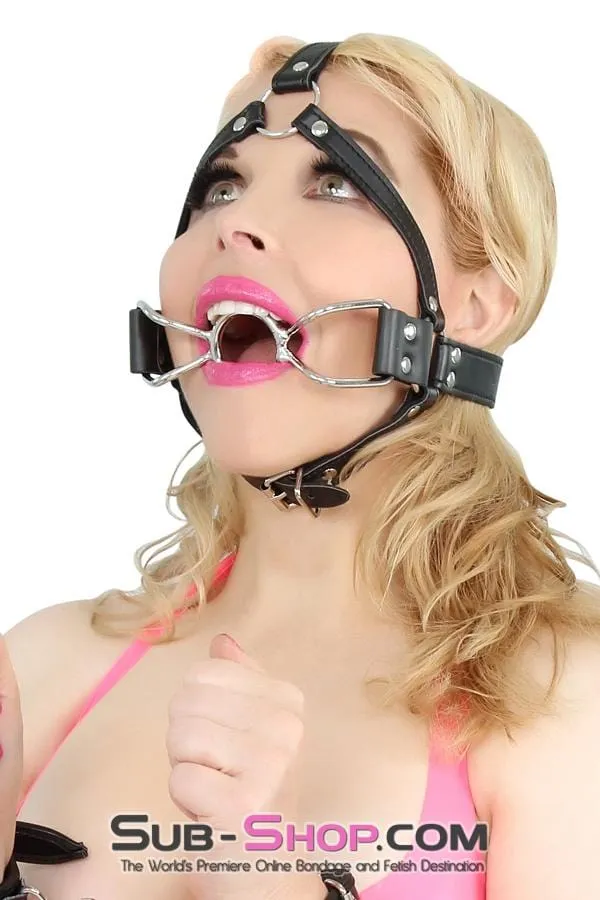 8997DL-SIS      French Kiss Sissy Slave Trainer Sissy Transformation Open Mouth Ring Gag