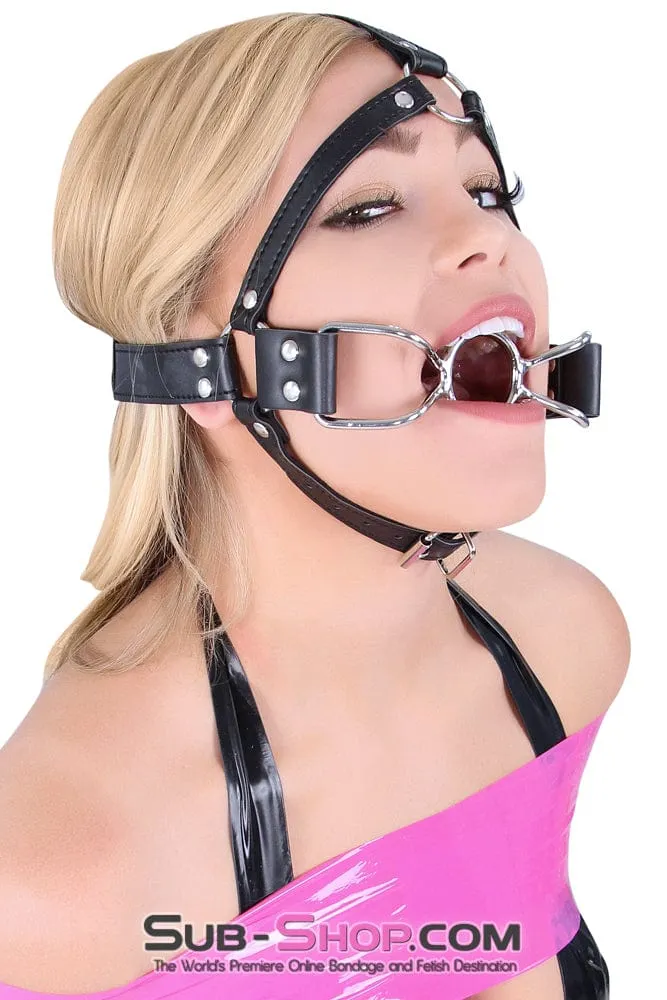 8997DL-SIS      French Kiss Sissy Slave Trainer Sissy Transformation Open Mouth Ring Gag