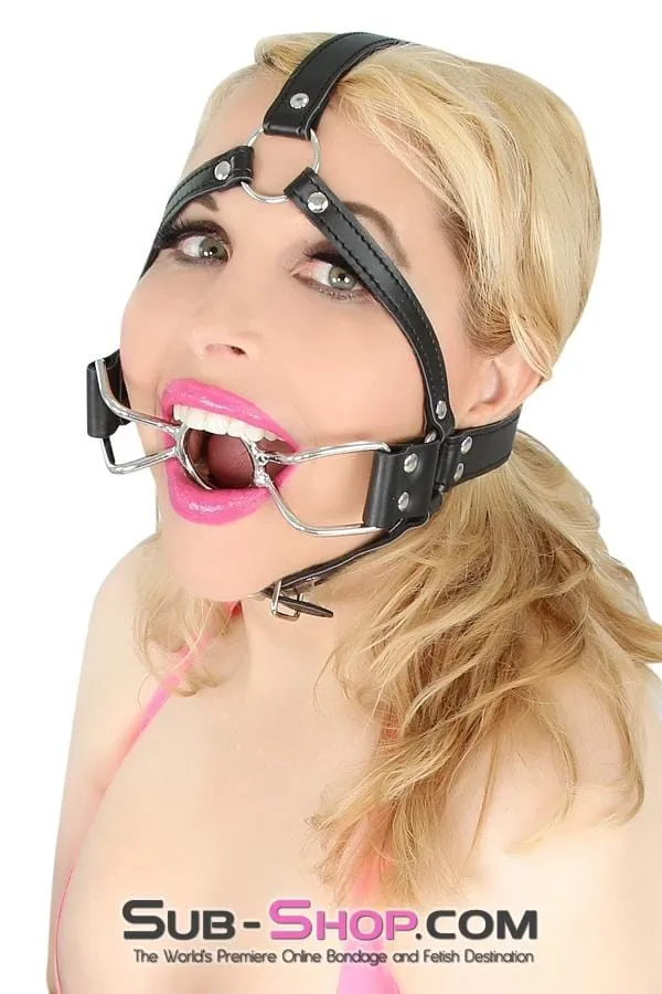 8997DL-SIS      French Kiss Sissy Slave Trainer Sissy Transformation Open Mouth Ring Gag