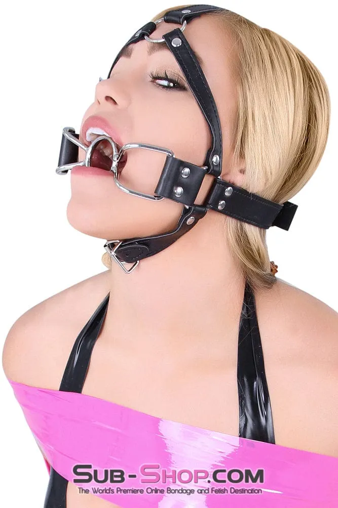 8997DL-SIS      French Kiss Sissy Slave Trainer Sissy Transformation Open Mouth Ring Gag