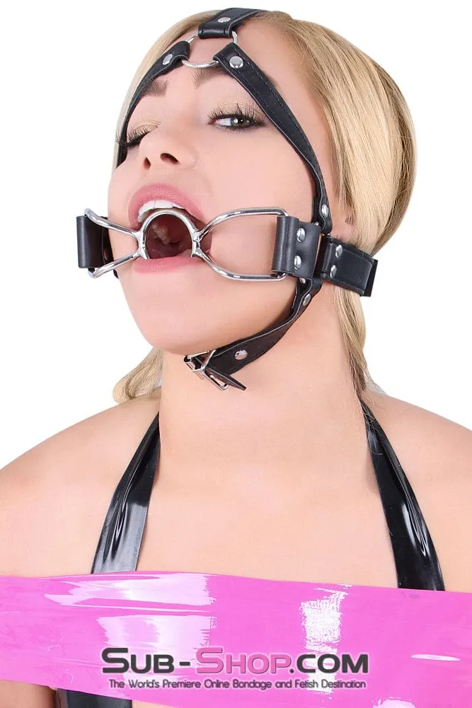 8997DL-SIS      French Kiss Sissy Slave Trainer Sissy Transformation Open Mouth Ring Gag
