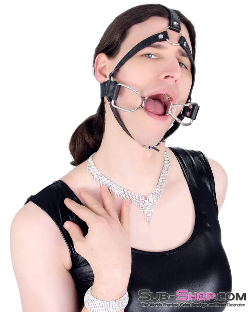 8997DL-SIS      French Kiss Sissy Slave Trainer Sissy Transformation Open Mouth Ring Gag