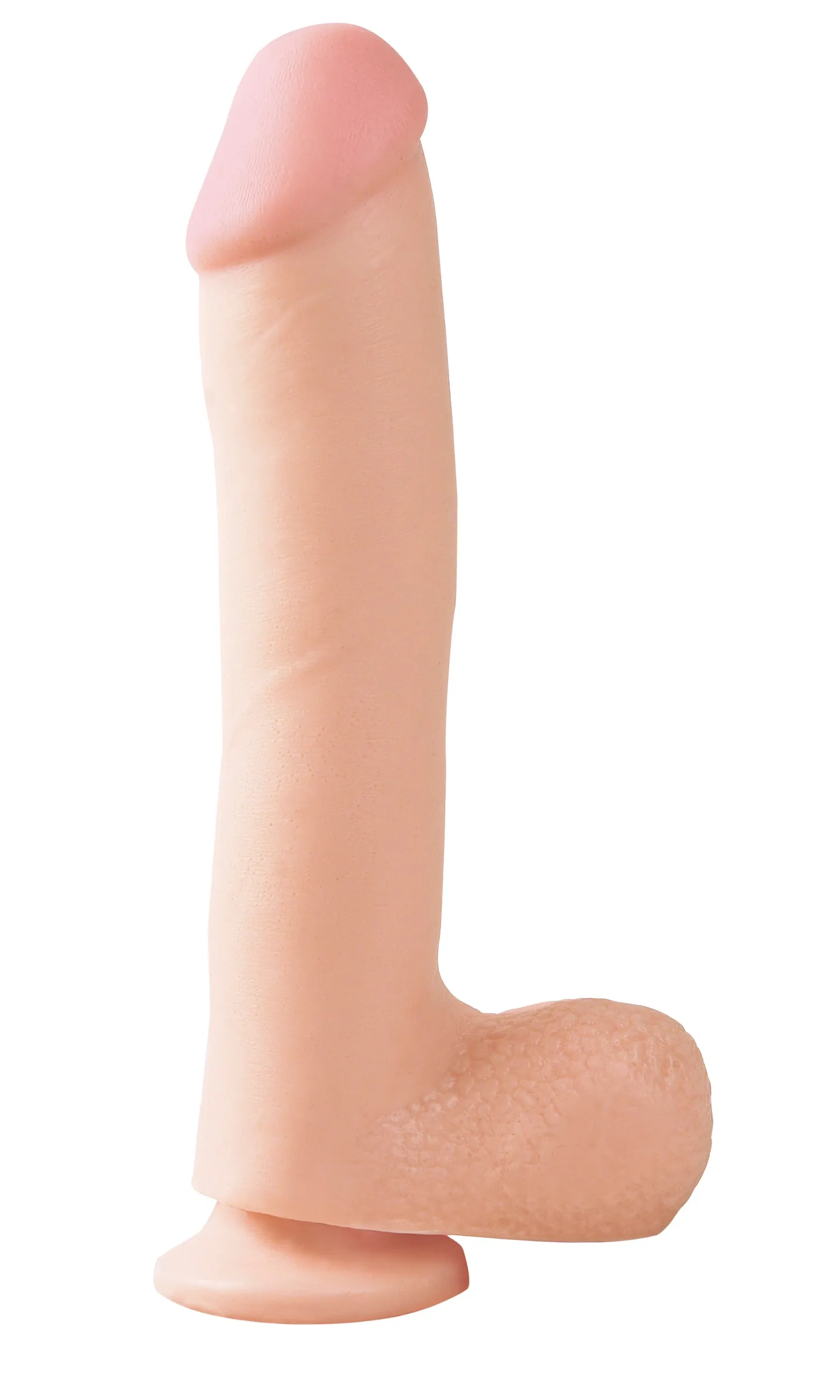 Basix - 10 Dong with Suction Cup