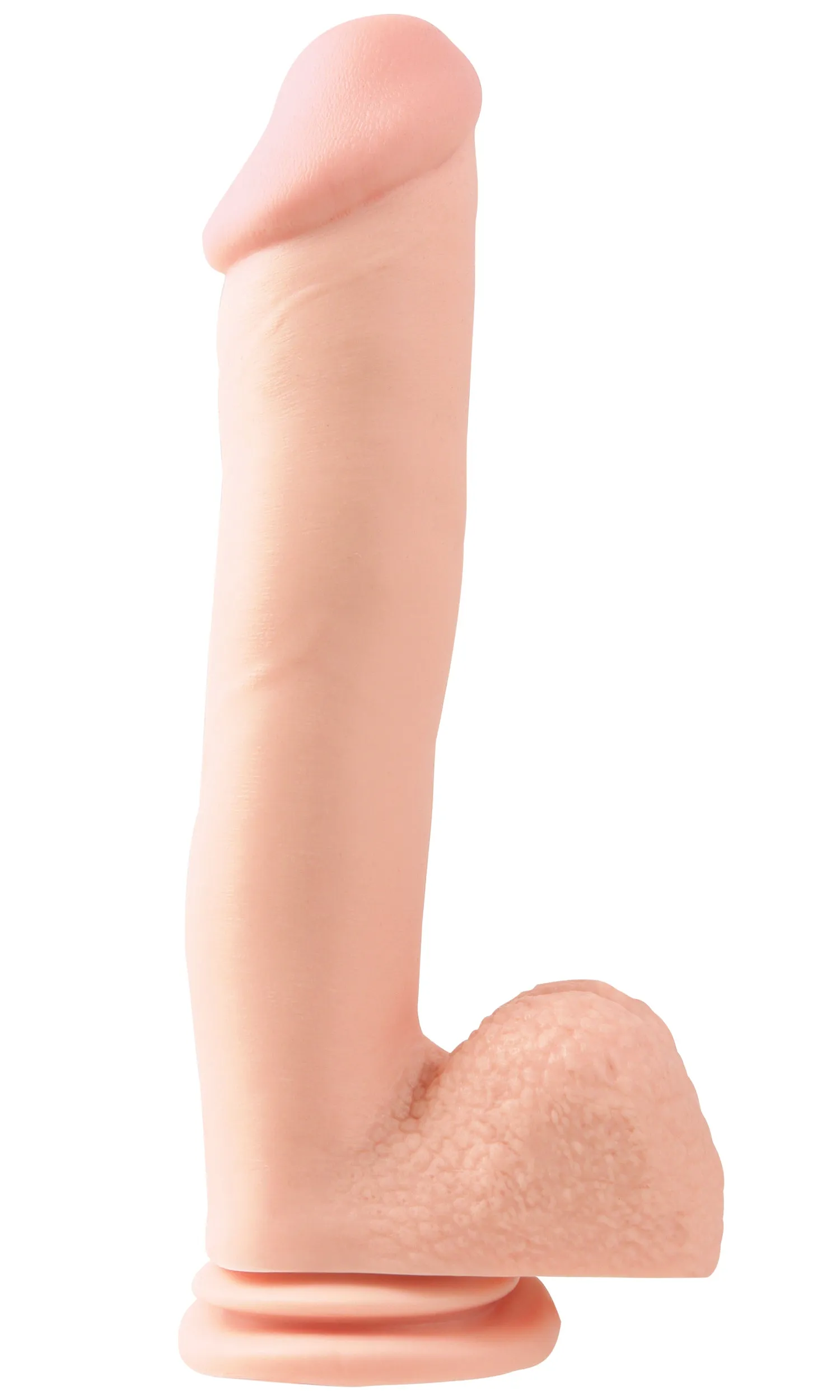 Basix - 12 Dong with Suction Cup