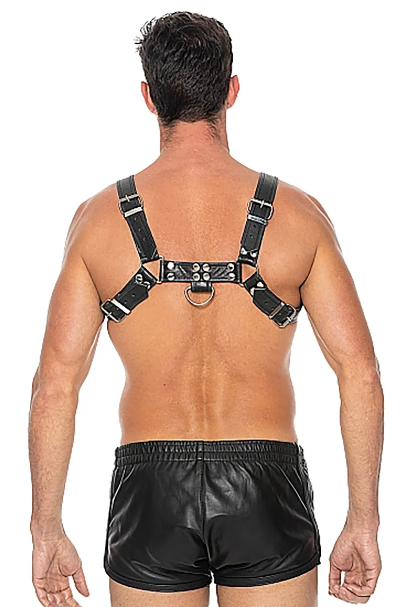 Bulldog Chest Harness