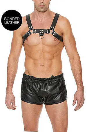Bulldog Chest Harness