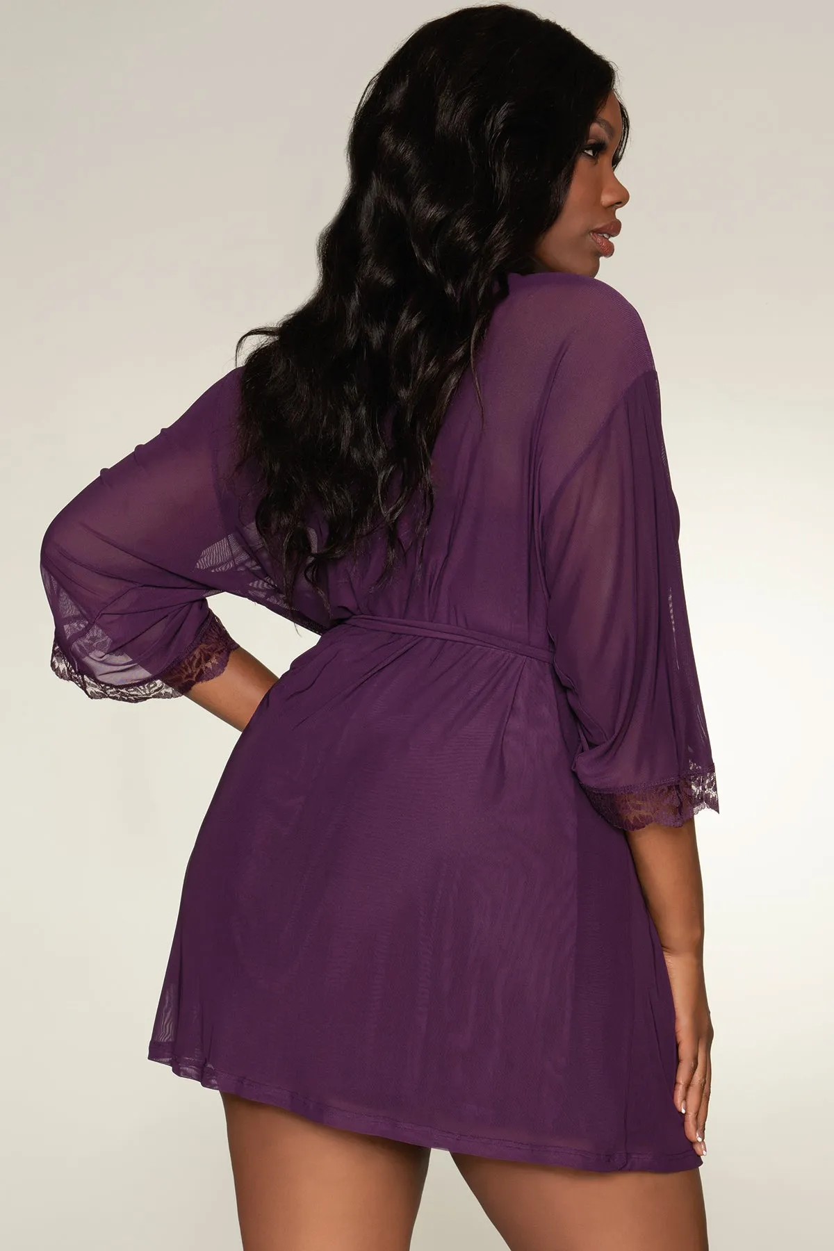 Sheer Mesh Chemise & Robe Set