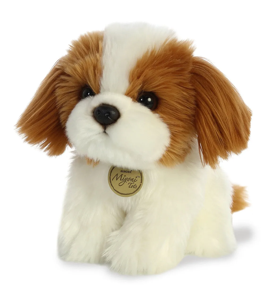 Shih Tzu Pup