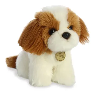 Shih Tzu Pup