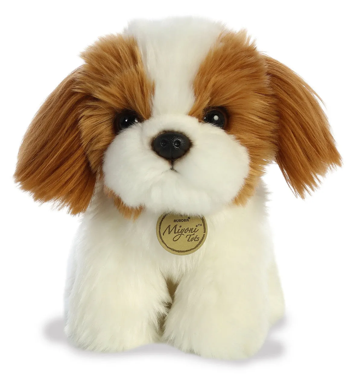 Shih Tzu Pup
