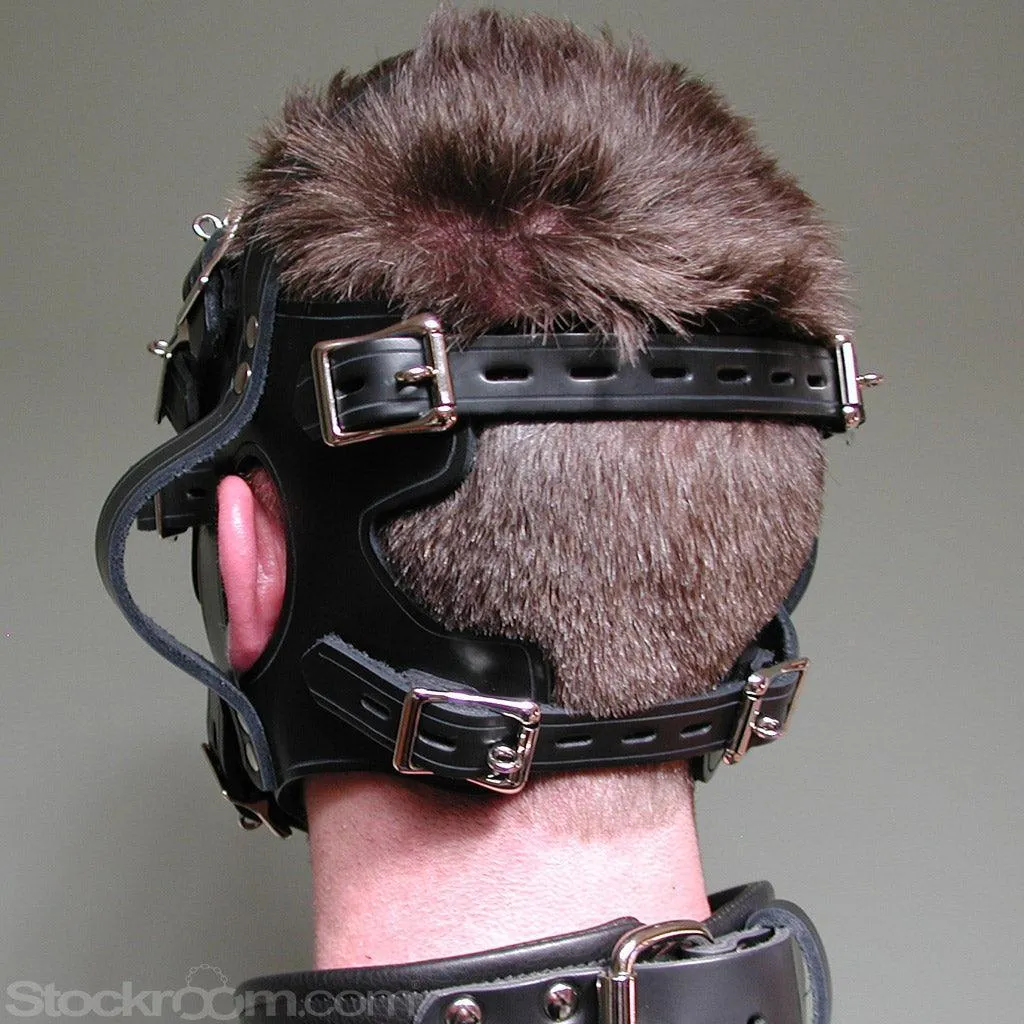 The Inescapable Head Handler Harness